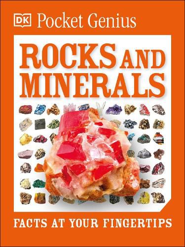 Cover image for Pocket Genius: Rocks and Minerals: Facts at Your Fingertips