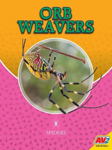 Orb Weavers