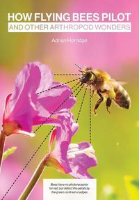 Cover image for How Flying Bees Pilot, and other arthropod wonders