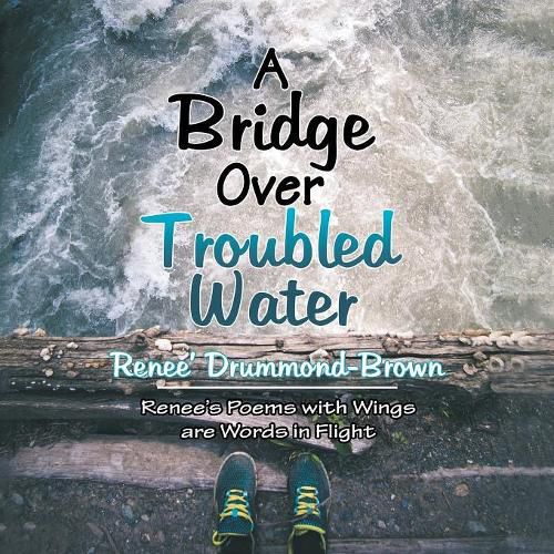 Cover image for A Bridge over Troubled Water