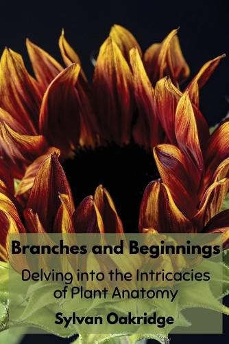 Cover image for Branches and Beginnings