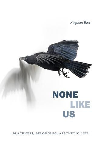 Cover image for None Like Us: Blackness, Belonging, Aesthetic Life