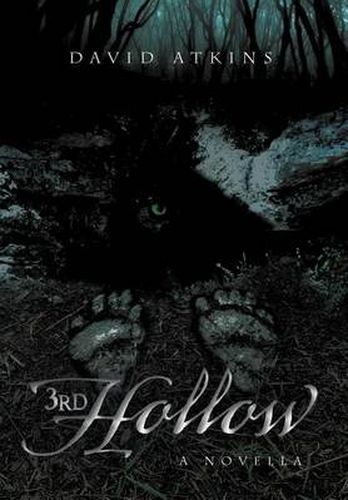 Cover image for 3rd Hollow