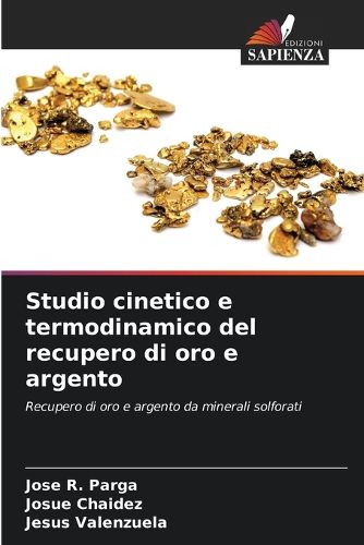 Cover image for Studio cinetico e termodinamico del recupero di oro e argento