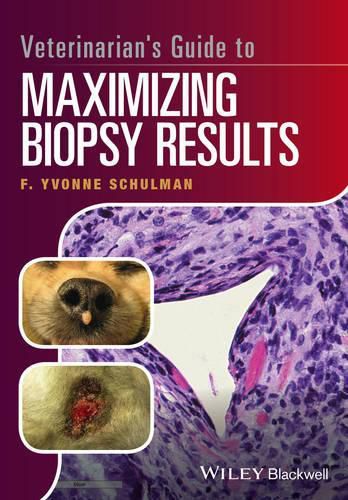 Cover image for Veterinarian's Guide to Maximizing Biopsy Results