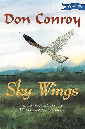 Cover image for Sky Wings