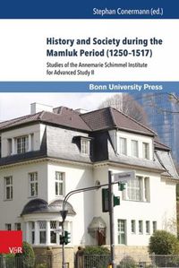 Cover image for History and Society during the Mamluk Period (12501517): Studies of the Annemarie Schimmel Institute for Advanced Study II