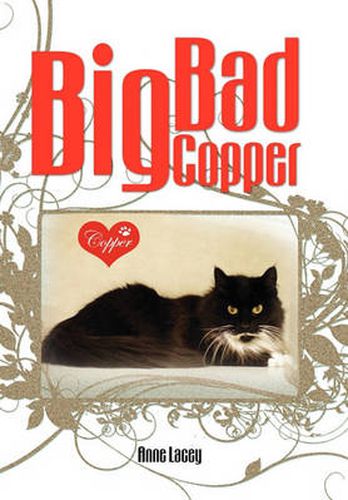 Cover image for Big Bad Copper