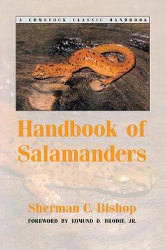 Cover image for Handbook of Salamanders
