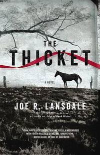 Cover image for The Thicket Lib/E