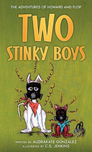 Cover image for Two Stinky Boys