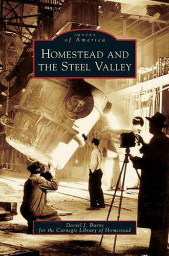 Cover image for Homestead and the Steel Valley