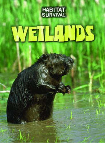 Cover image for Wetlands