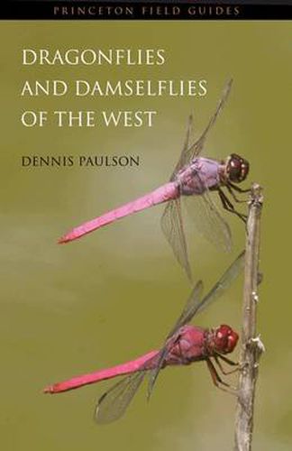 Cover image for Dragonflies and Damselflies of the West: The Photographic Guide