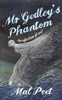 Cover image for Mr Godley's Phantom