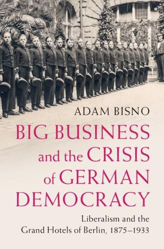 Cover image for Big Business and the Crisis of German Democracy