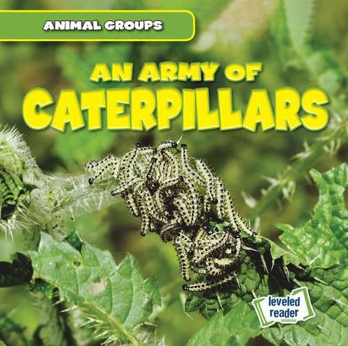 Cover image for An Army of Caterpillars