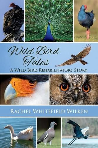 Cover image for Wild Bird Tales: A Wild Bird Rehabilitator's Story