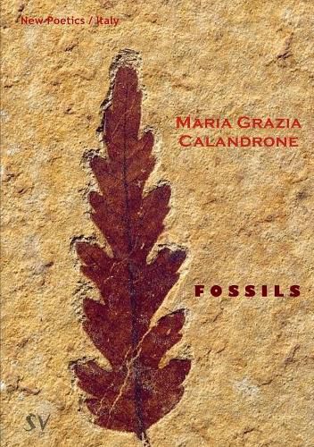 Cover image for Fossils