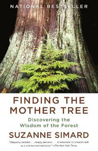 Cover image for Finding the Mother Tree: Discovering the Wisdom of the Forest