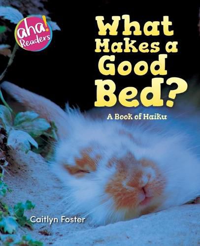 Cover image for What Makes a Good Bed?: A book of Haiku