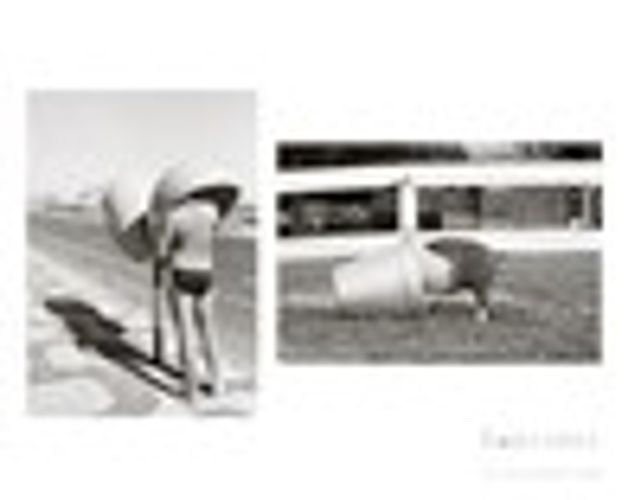 Cover image for Twosomes