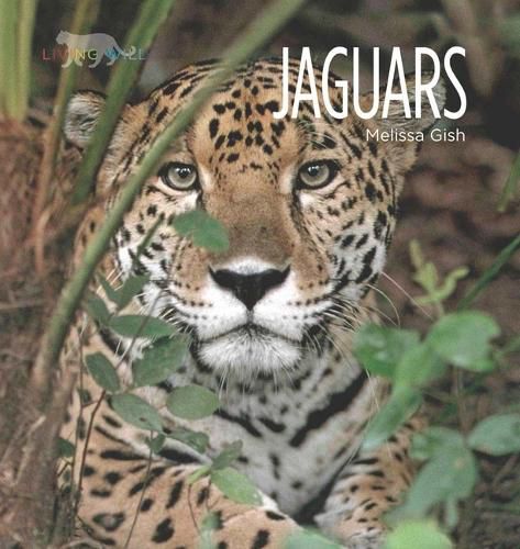 Cover image for Living Wild: Jaguars