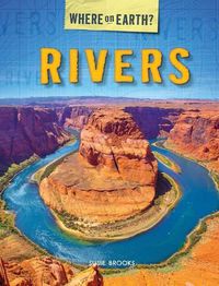 Cover image for Rivers