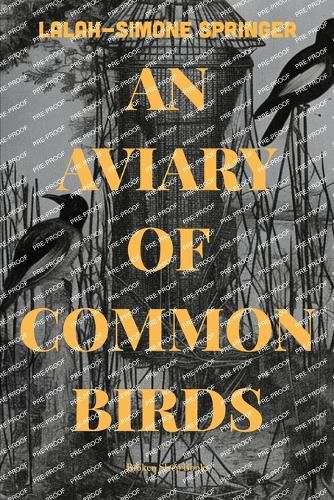 Cover image for An Aviary of Common Birds