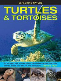 Cover image for Exploring Nature: Turtles & Tortoises