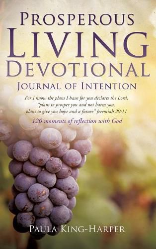 Cover image for Prosperous Living Devotional