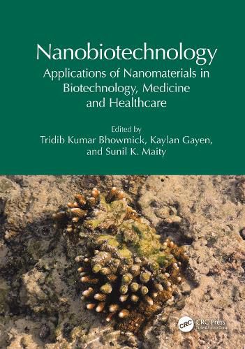 Cover image for Nanobiotechnology