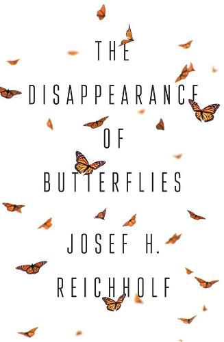 Cover image for The Disappearance of Butterflies