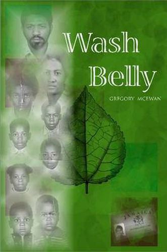 Cover image for Wash Belly