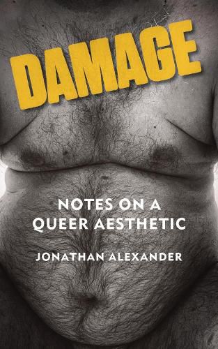 Cover image for Damage