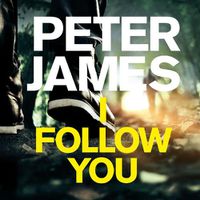 Cover image for I Follow You