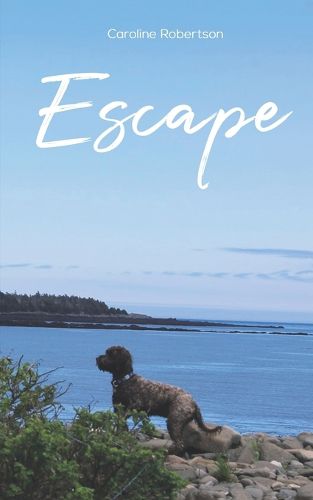 Cover image for Escape