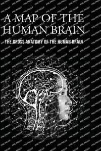 Cover image for A Map of the Human Brain