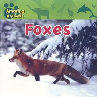 Cover image for Foxes