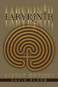 Cover image for Labyrinth