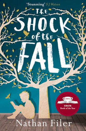 Cover image for The Shock of the Fall
