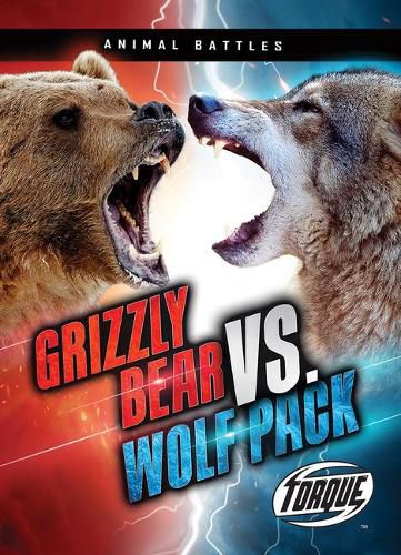 Grizzly Bear VS Wolf Pack