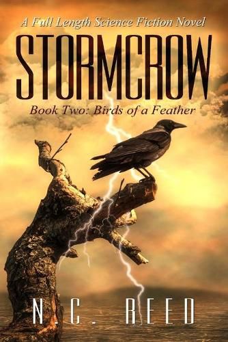 Cover image for Stormcrow: Birds of a Feather