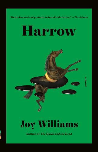 Harrow: A novel