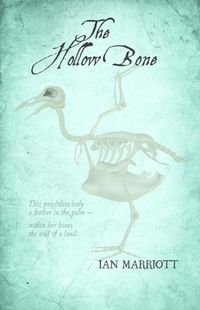 Cover image for Hollow Bone, The