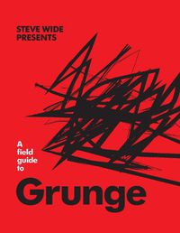 Cover image for A Field Guide to Grunge