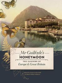 Cover image for Mr Guilfoyle's Honeymoon