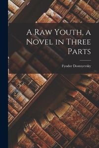 Cover image for A raw Youth, a Novel in Three Parts