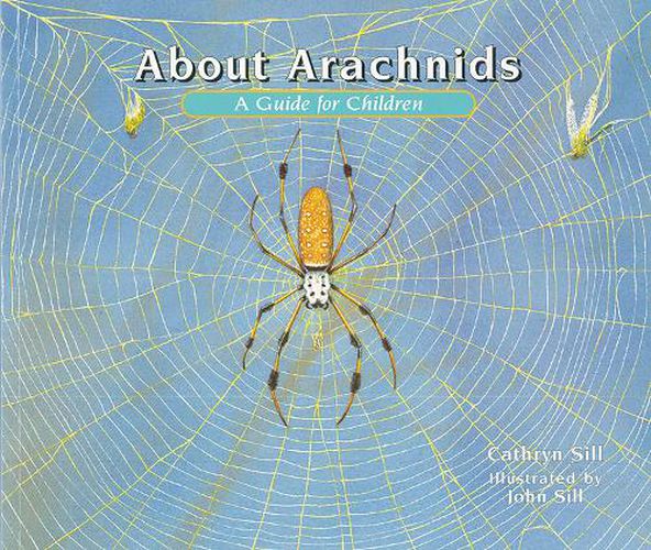 Cover image for About Arachnids: A Guide for Children