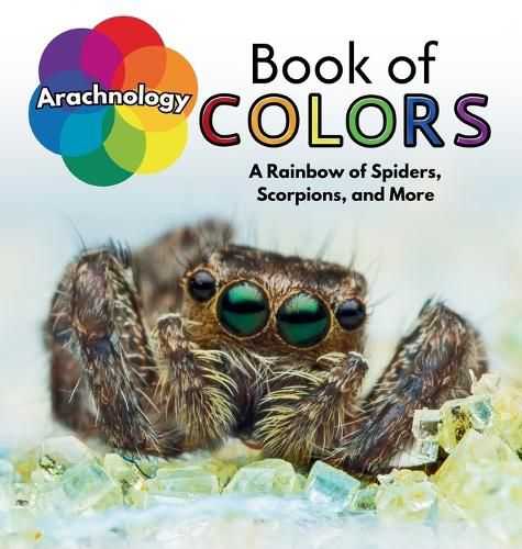 Cover image for Arachnology Book of Colors